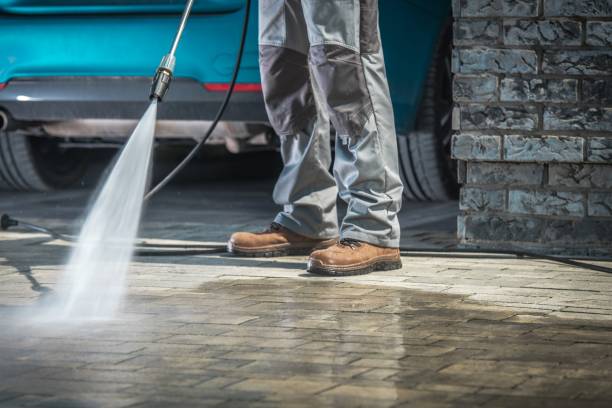 Best Fleet Vehicle Washing  in Applewood, CO